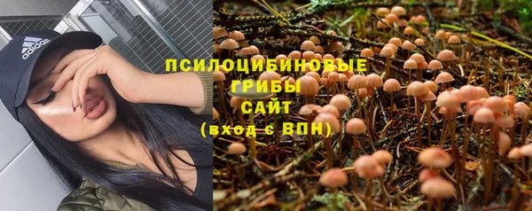 амфетамин Приозерск