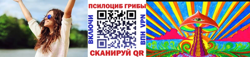 Псилоцибиновые грибы мухоморы купить закладку Шилка
